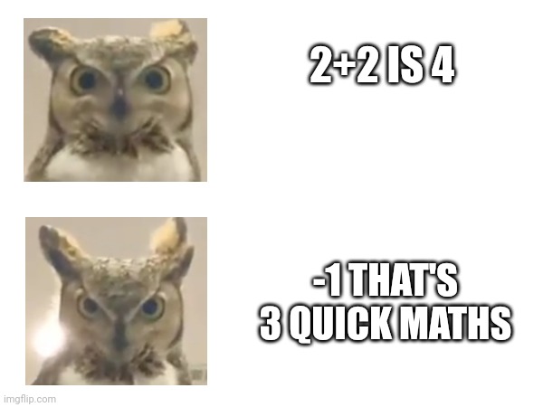 The Owl | 2+2 IS 4; -1 THAT'S 3 QUICK MATHS | image tagged in owl | made w/ Imgflip meme maker