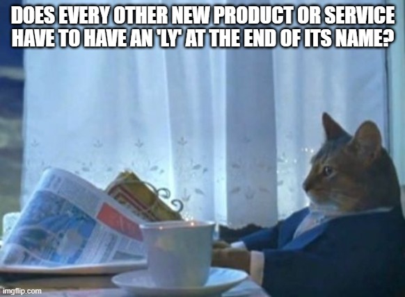 grammarly cuddly talently brainly etc etc | DOES EVERY OTHER NEW PRODUCT OR SERVICE HAVE TO HAVE AN 'LY' AT THE END OF ITS NAME? | image tagged in memes,i should buy a boat cat | made w/ Imgflip meme maker