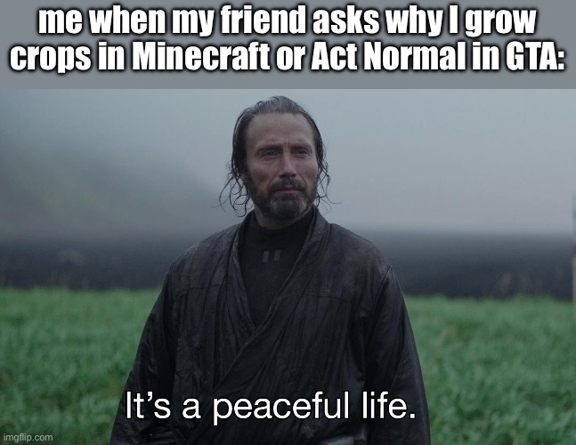 It’s a peaceful life for a tourist. | me when my friend asks why I grow crops in Minecraft or Act Normal in GTA: | image tagged in it s a peaceful life | made w/ Imgflip meme maker