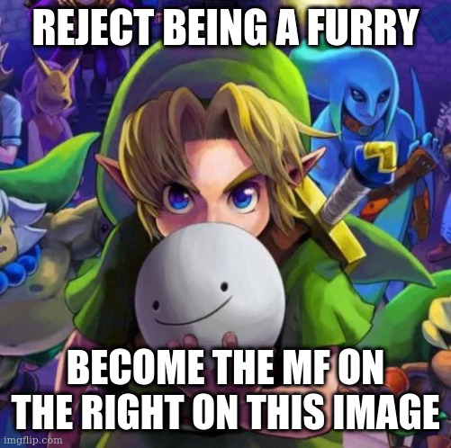 i have ended the curse | REJECT BEING A FURRY; BECOME THE MF ON THE RIGHT ON THIS IMAGE | image tagged in link with a dream mask | made w/ Imgflip meme maker