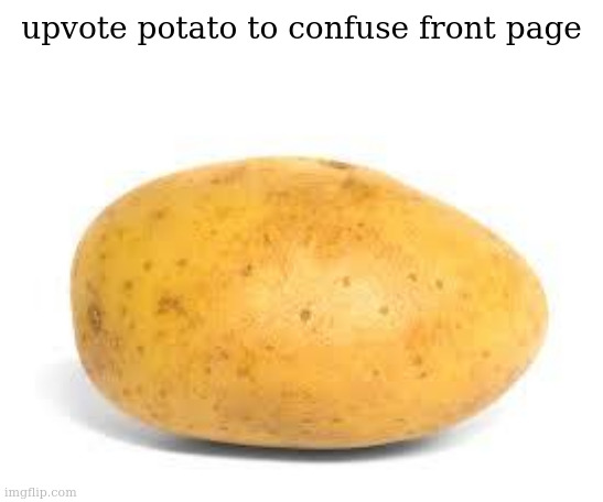Potato | upvote potato to confuse front page | image tagged in potato | made w/ Imgflip meme maker