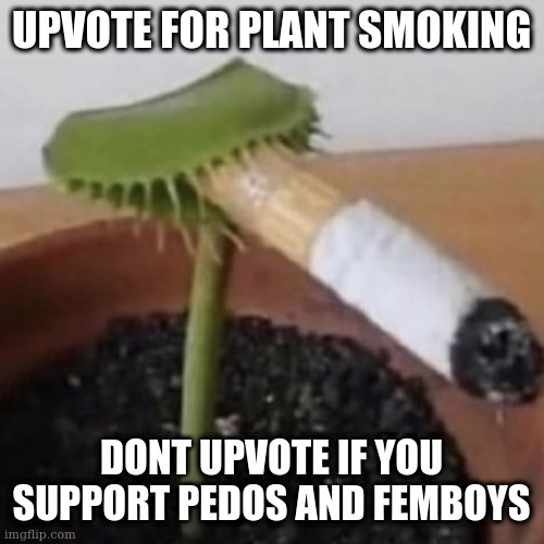 plant weeds | UPVOTE FOR PLANT SMOKING; DONT UPVOTE IF YOU SUPPORT PEDOS AND FEMBOYS | image tagged in plant weeds | made w/ Imgflip meme maker