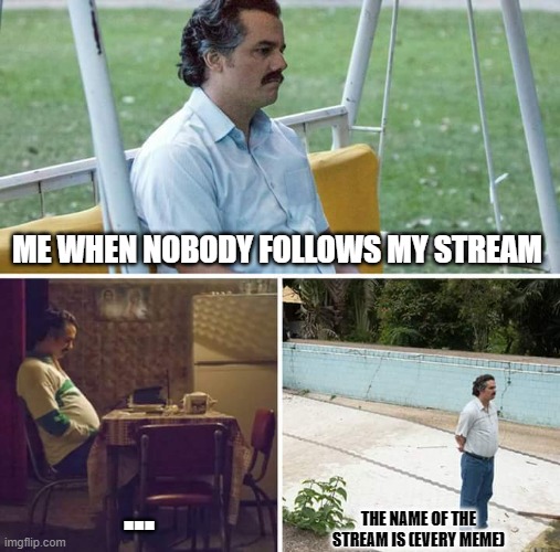 Sad Pablo Escobar Meme | ME WHEN NOBODY FOLLOWS MY STREAM; ... THE NAME OF THE STREAM IS (EVERY MEME) | image tagged in memes,sad pablo escobar | made w/ Imgflip meme maker