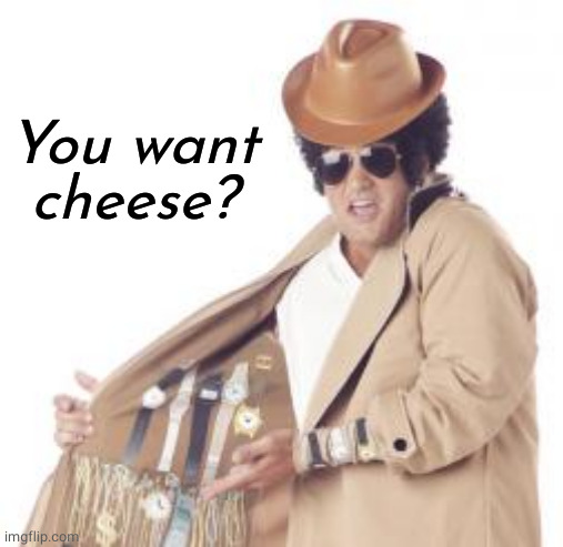 Trenchcoat Salesman | You want cheese? | image tagged in trenchcoat salesman | made w/ Imgflip meme maker