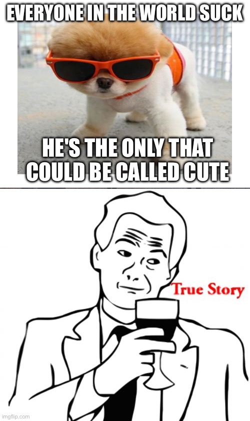 Cuteness | EVERYONE IN THE WORLD SUCK; HE'S THE ONLY THAT COULD BE CALLED CUTE | image tagged in cute dog,fun | made w/ Imgflip meme maker