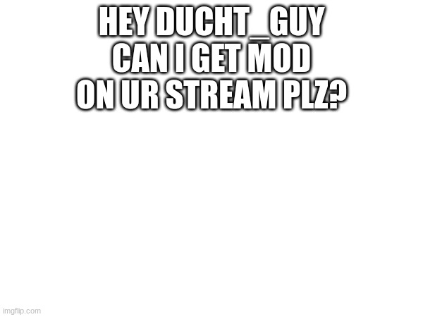 HEY DUCHT_GUY CAN I GET MOD ON UR STREAM PLZ? | image tagged in imgflip mods | made w/ Imgflip meme maker
