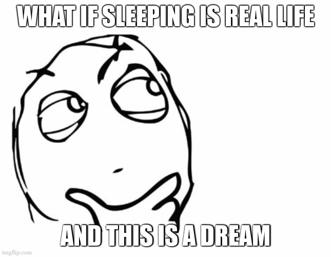 Image title | WHAT IF SLEEPING IS REAL LIFE; AND THIS IS A DREAM | image tagged in hmmm | made w/ Imgflip meme maker