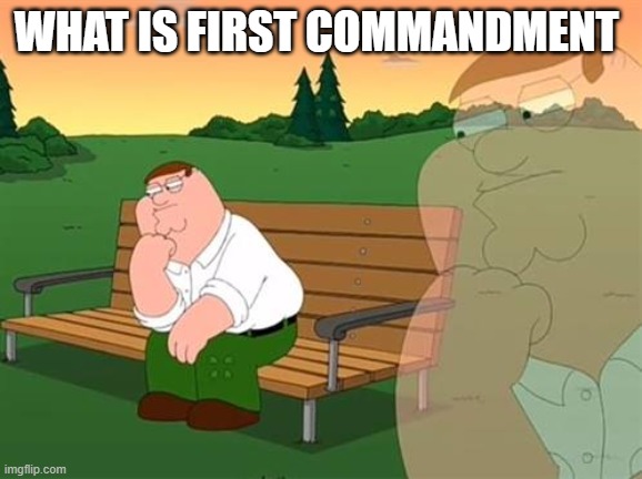 pensive reflecting thoughtful peter griffin | WHAT IS FIRST COMMANDMENT | image tagged in pensive reflecting thoughtful peter griffin | made w/ Imgflip meme maker