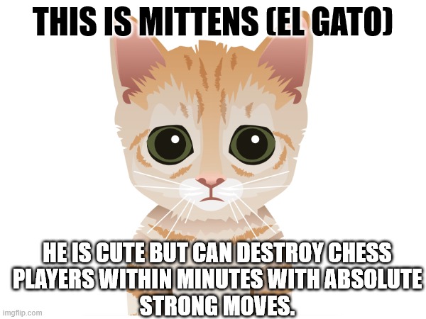 Mittens just beat me in 2 moves, chess.c*m needs to nerf her. : r