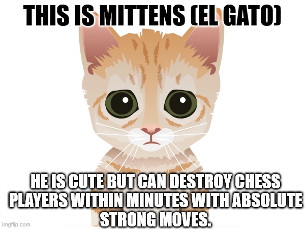 I happen to have a cat named mittens. : r/chessbeginners