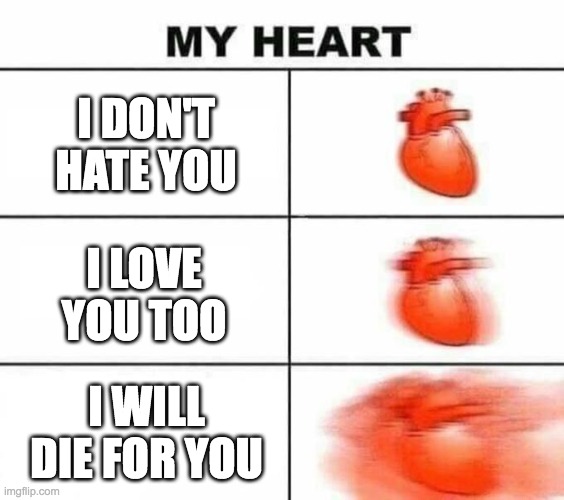My heart blank | I DON'T HATE YOU; I LOVE YOU TOO; I WILL DIE FOR YOU | image tagged in my heart blank | made w/ Imgflip meme maker