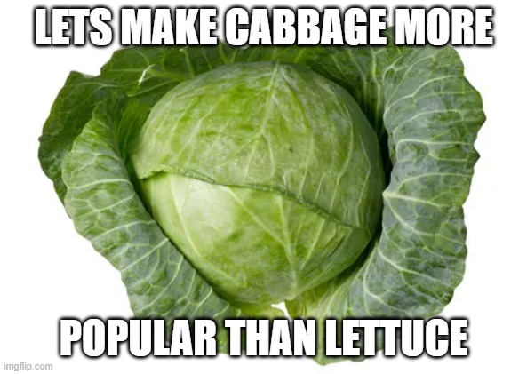 Cabbage better | LETS MAKE CABBAGE MORE; POPULAR THAN LETTUCE | image tagged in fun | made w/ Imgflip meme maker