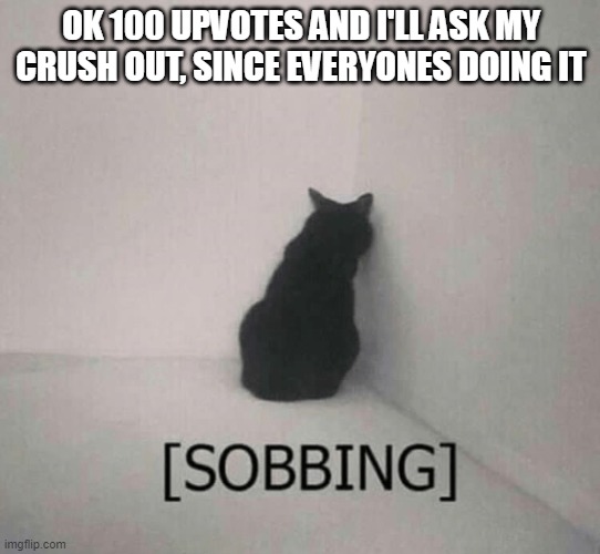 Sobbing cat | OK 100 UPVOTES AND I'LL ASK MY CRUSH OUT, SINCE EVERYONES DOING IT | image tagged in sobbing cat | made w/ Imgflip meme maker