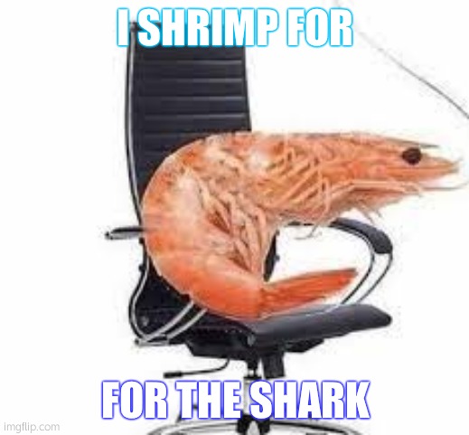 chair shrimp | I SHRIMP FOR FOR THE SHARK | image tagged in chair shrimp | made w/ Imgflip meme maker