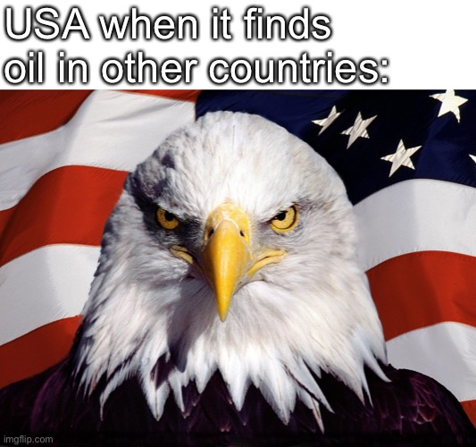 Freedom go brr... | USA when it finds oil in other countries: | image tagged in freedom eagle | made w/ Imgflip meme maker
