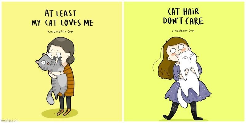 A Cat Lady's Way Of Thinking | image tagged in memes,comics,cat lady,cats,hair,don't care | made w/ Imgflip meme maker