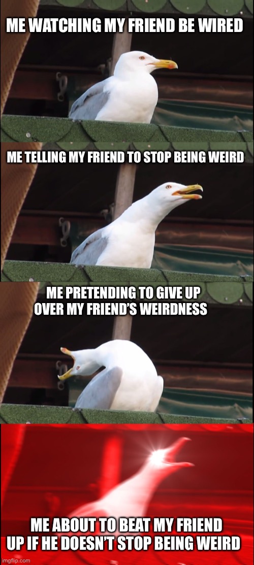 REEEEEE | ME WATCHING MY FRIEND BE WIRED; ME TELLING MY FRIEND TO STOP BEING WEIRD; ME PRETENDING TO GIVE UP OVER MY FRIEND’S WEIRDNESS; ME ABOUT TO BEAT MY FRIEND UP IF HE DOESN’T STOP BEING WEIRD | image tagged in memes,inhaling seagull | made w/ Imgflip meme maker