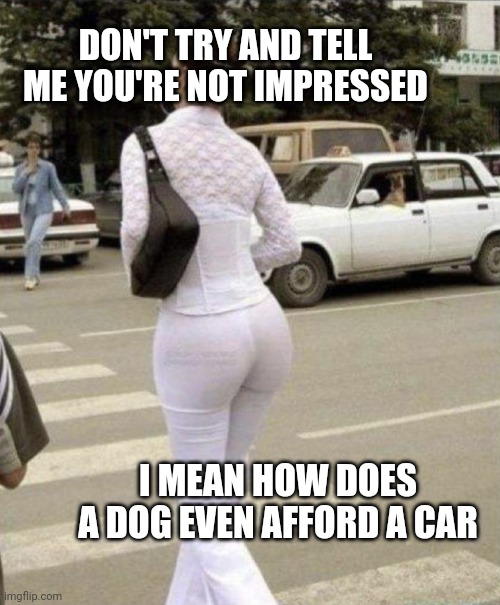 Pretty impressive |  DON'T TRY AND TELL ME YOU'RE NOT IMPRESSED; I MEAN HOW DOES A DOG EVEN AFFORD A CAR | image tagged in wtf is that | made w/ Imgflip meme maker