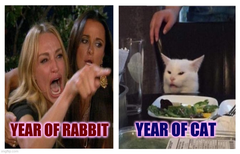 Smudge Revise | YEAR OF CAT; YEAR OF RABBIT | image tagged in smudge revise,smudge the cat,rabbit,cat,happy new year,2023 | made w/ Imgflip meme maker