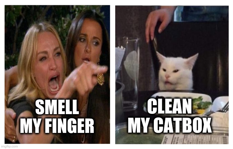 Smudge Revise | CLEAN MY CATBOX; SMELL MY FINGER | image tagged in smudge revise,smudge the cat,smell,smelly,litter box,smells | made w/ Imgflip meme maker