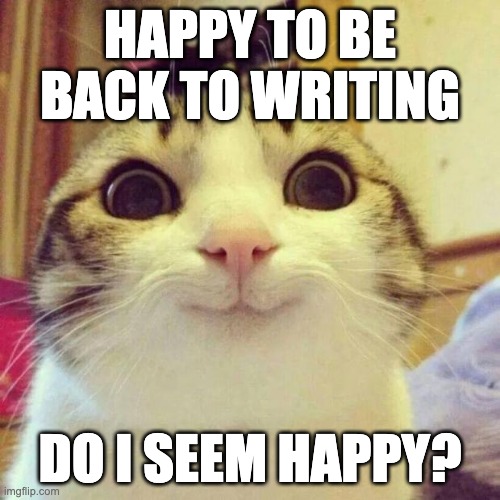 Smiling Cat | HAPPY TO BE BACK TO WRITING; DO I SEEM HAPPY? | image tagged in memes,smiling cat | made w/ Imgflip meme maker