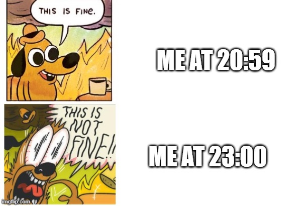time changes people | ME AT 20:59; ME AT 23:00 | image tagged in this is fine this is not fine,time | made w/ Imgflip meme maker