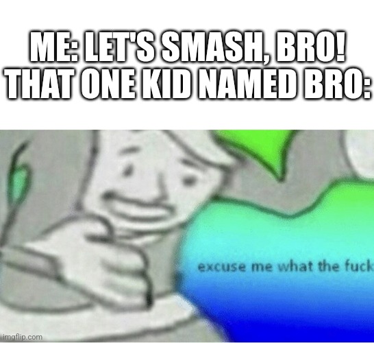 Imagine that lol | ME: LET'S SMASH, BRO!
THAT ONE KID NAMED BRO: | image tagged in excuse me wtf blank template,smash bros | made w/ Imgflip meme maker