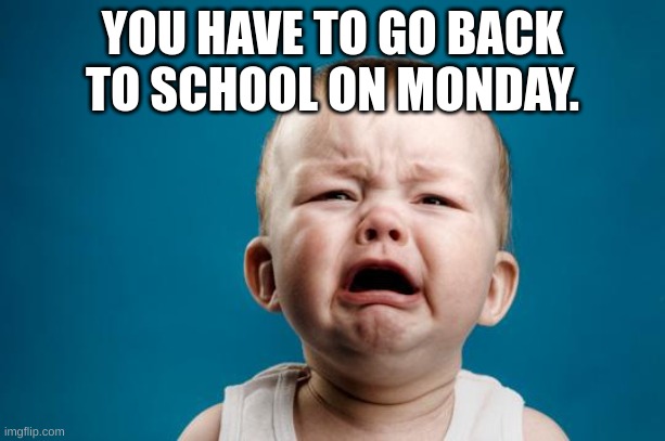 BABY CRYING | YOU HAVE TO GO BACK TO SCHOOL ON MONDAY. | image tagged in baby crying | made w/ Imgflip meme maker