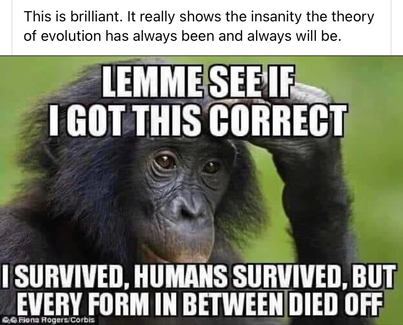 Darwinists, can you explain? | image tagged in darwinists can you explain | made w/ Imgflip meme maker