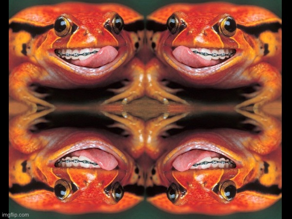 Four Frogs with Human Teeth | image tagged in blank white template | made w/ Imgflip meme maker