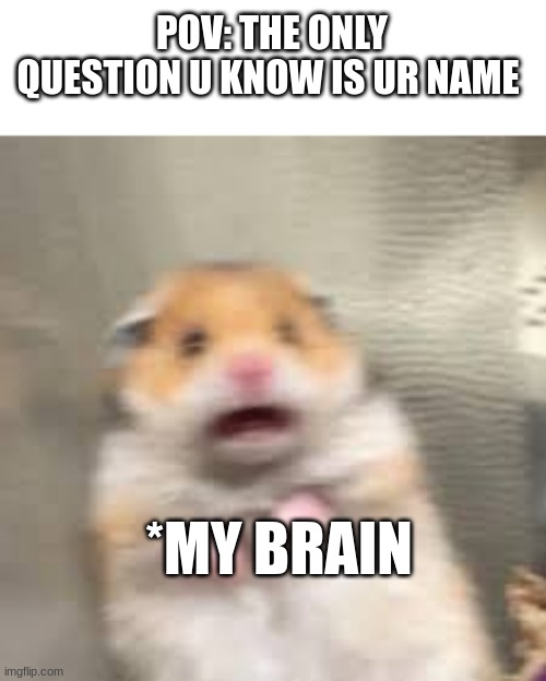 POV: THE ONLY QUESTION U KNOW IS UR NAME; *MY BRAIN | image tagged in freaking out | made w/ Imgflip meme maker