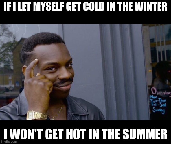 and vice versa | IF I LET MYSELF GET COLD IN THE WINTER; I WON'T GET HOT IN THE SUMMER | image tagged in memes,roll safe think about it,winter,summer | made w/ Imgflip meme maker
