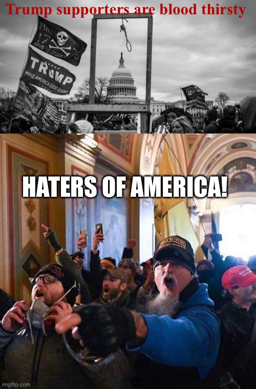 Trump supporters are blood thirsty; HATERS OF AMERICA! | image tagged in capitol hill riot gallows,capitol traitors | made w/ Imgflip meme maker