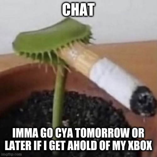 plant weeds | CHAT; IMMA GO CYA TOMORROW OR LATER IF I GET AHOLD OF MY XBOX | image tagged in plant weeds | made w/ Imgflip meme maker