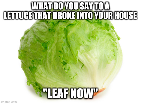 trolling iceu with lettuce | WHAT DO YOU SAY TO A LETTUCE THAT BROKE INTO YOUR HOUSE; "LEAF NOW" | image tagged in lettuce | made w/ Imgflip meme maker