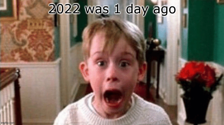 im late with this meme | 2022 was 1 day ago | image tagged in kevin screaming home alone | made w/ Imgflip meme maker