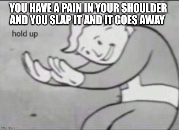 memes that i got from my 1080 year old frige | YOU HAVE A PAIN IN YOUR SHOULDER AND YOU SLAP IT AND IT GOES AWAY | image tagged in fallout hold up | made w/ Imgflip meme maker