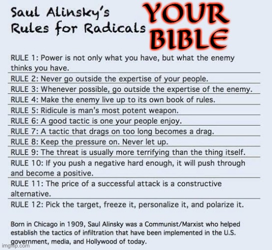 Saul Alinsky’s Rules for Radicals | YOUR 
BIBLE | image tagged in saul alinsky s rules for radicals | made w/ Imgflip meme maker