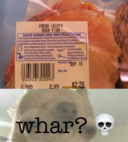 "Fresh idiots rock fish" | image tagged in whar,rock,fish,you had one job,memes,food | made w/ Imgflip meme maker