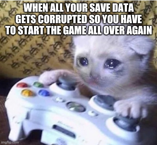 Sad cat | WHEN ALL YOUR SAVE DATA GETS CORRUPTED SO YOU HAVE TO START THE GAME ALL OVER AGAIN | image tagged in sad gaming cat | made w/ Imgflip meme maker