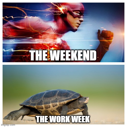 Fast vs. Slow | THE WEEKEND; THE WORK WEEK | image tagged in fast vs slow | made w/ Imgflip meme maker