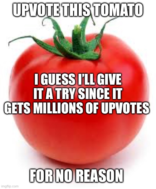 Why am I doing this | UPVOTE THIS TOMATO; I GUESS I’LL GIVE IT A TRY SINCE IT GETS MILLIONS OF UPVOTES; FOR NO REASON | image tagged in tomato | made w/ Imgflip meme maker