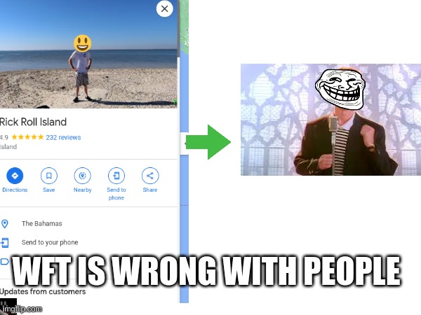 WTF | WFT IS WRONG WITH PEOPLE | image tagged in rick astley,island,wtf | made w/ Imgflip meme maker