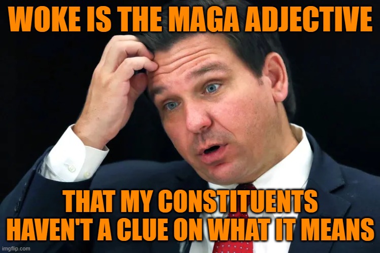 Woke up this morning got myself a.... | WOKE IS THE MAGA ADJECTIVE; THAT MY CONSTITUENTS HAVEN'T A CLUE ON WHAT IT MEANS | image tagged in woke,maga,political meme,propaganda,florida man | made w/ Imgflip meme maker