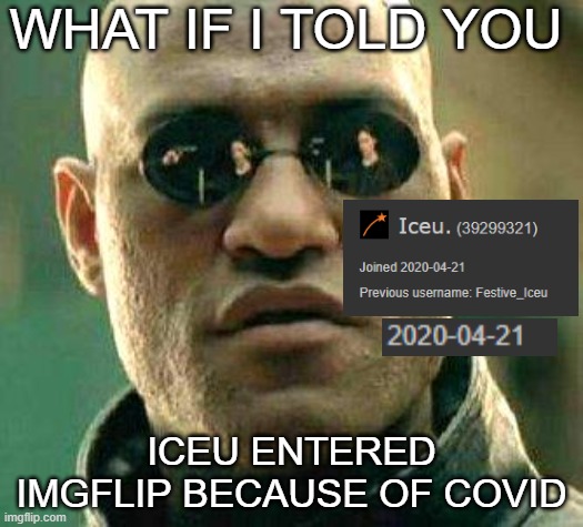 what if I did? | WHAT IF I TOLD YOU; ICEU ENTERED IMGFLIP BECAUSE OF COVID | image tagged in what if i told you,iceu,2020 sucks | made w/ Imgflip meme maker
