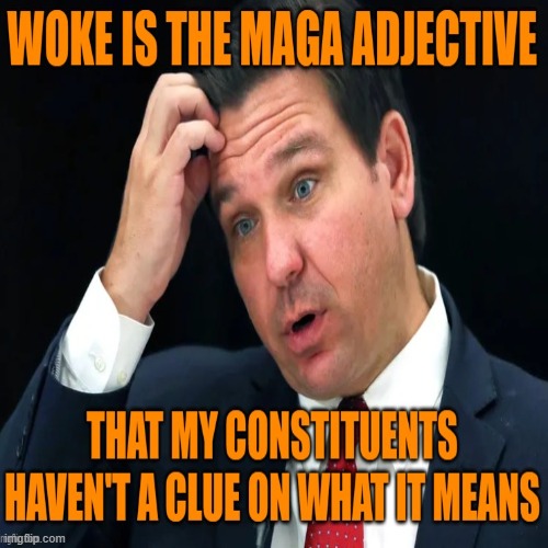woke up this morning got myself a .... | image tagged in woke,florida man,political meme,propaganda,confused confusing confusion | made w/ Imgflip meme maker
