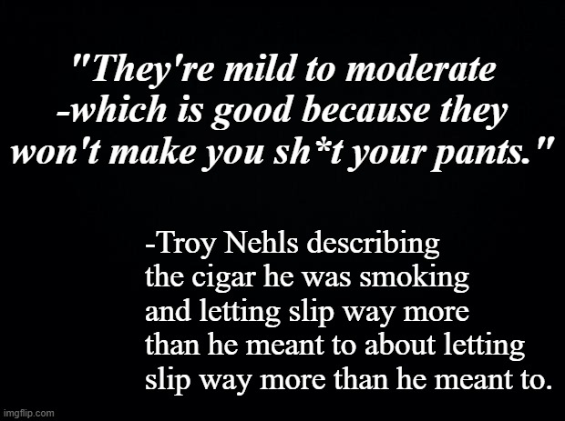 That's pretty good anti-smoking argument... | "They're mild to moderate -which is good because they won't make you sh*t your pants."; -Troy Nehls describing the cigar he was smoking and letting slip way more than he meant to about letting slip way more than he meant to. | image tagged in black background,no smoking | made w/ Imgflip meme maker