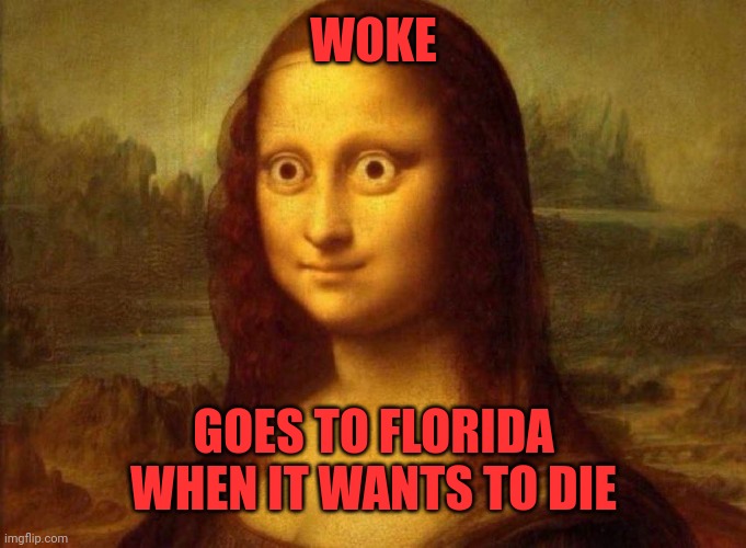 Mona Lisa woke | WOKE GOES TO FLORIDA WHEN IT WANTS TO DIE | image tagged in mona lisa woke | made w/ Imgflip meme maker