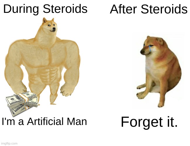 This is So true. Fact: Don't get steroids. | During Steroids; After Steroids; I'm a Artificial Man; Forget it. | image tagged in memes,buff doge vs cheems | made w/ Imgflip meme maker