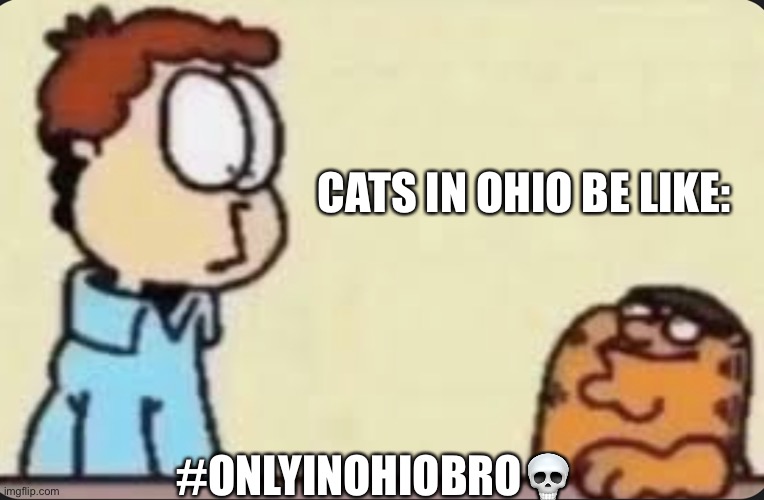 I can’t even own a cat in Ohio bro ? | CATS IN OHIO BE LIKE:; #ONLYINOHIOBRO💀 | image tagged in ohio,cats,memes,peter griffin,garfield | made w/ Imgflip meme maker